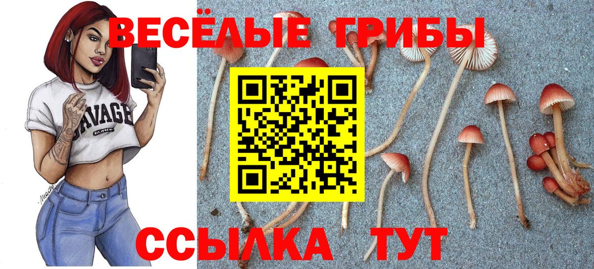 Галлюциногенные грибы Cubensis Рассказово