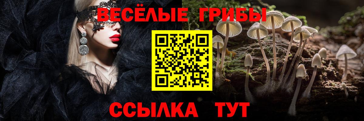 Галлюциногенные грибы прущие грибы  Вход с VPN  Рассказово 